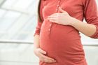 Psycholožka: Osamělé ženy nemohou chtít po státu, aby je otěhotněl