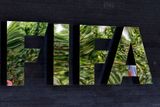 Mezinárodní fotbalovou federací FIFA otřásá velký korupční skandál, v němž má jít o úplatky až ve výši sto milionů dolarů (asi 2,5 miliardy korun). Na akci spolupracují americké a švýcarská justice, k zatčení vysokých funkcionálů FIFA došlo dnes ráno v Curychu. Podívejte, kdo musí teď vyšetřovatelům vysvětlovat své podivné chování.