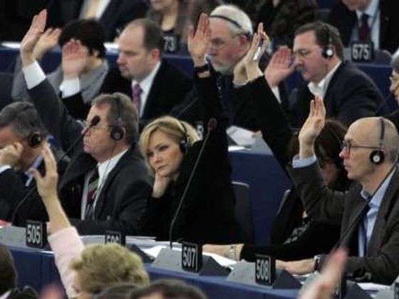 Více o europarlamentu Evropský parlament - hlasování