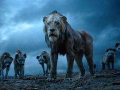 Snímek z nového Lvího krále.