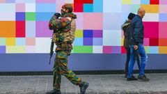 Belgický voják hlídkuje v jedné z nákupních ulic v Bruselu.