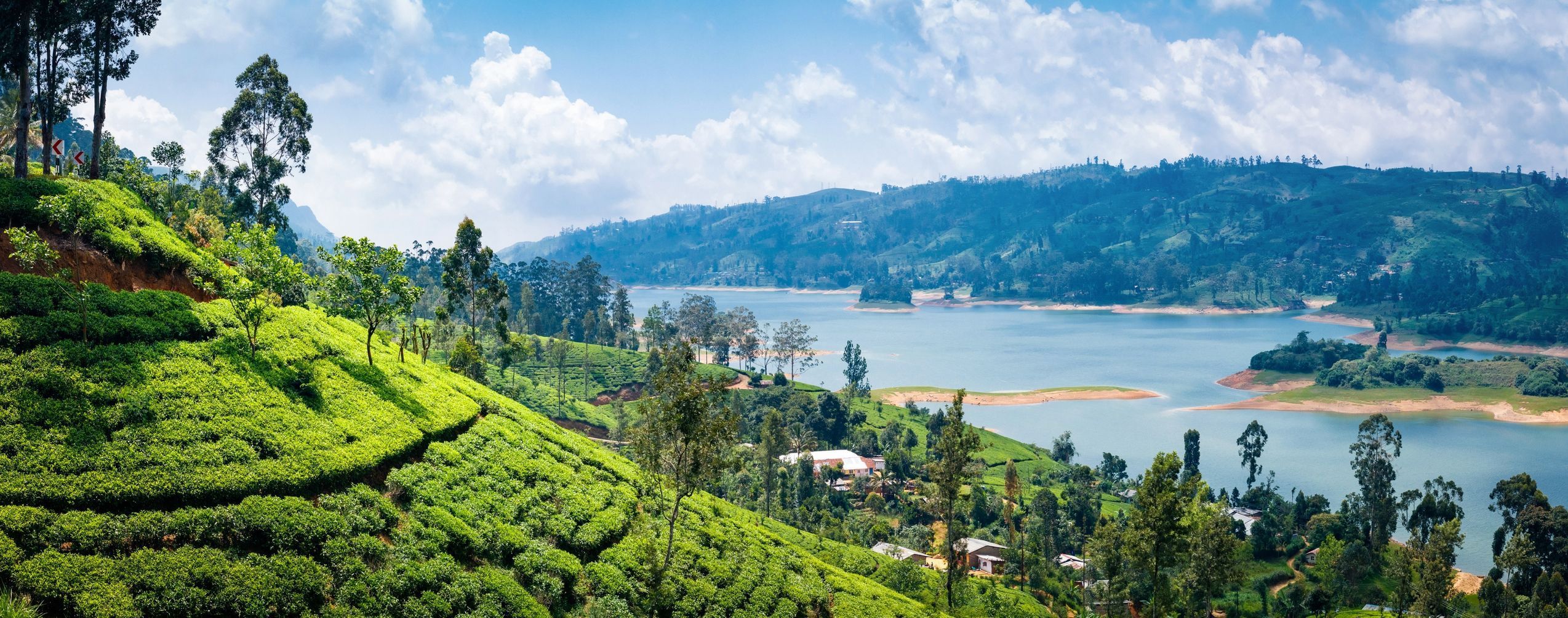 Nuwara Eliya, Srí Lanka