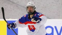 hokej, Nela Lopušanová