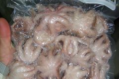 Chobotničky z Globusu obsahovaly příliš mnoho kadmia, zjistila veterinární správa