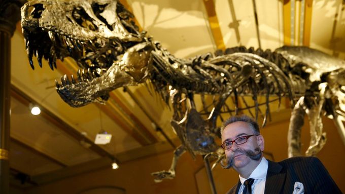 Berlínské Přírodovědné historické muzeum vystavilo původní kostru Tyranosaura rexe, jednu z nejvíce zachovaných, které patří tomuto druhu dinosaura.