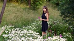 domeček na kopci, dům, rekonstrukce, zahrada, příběh