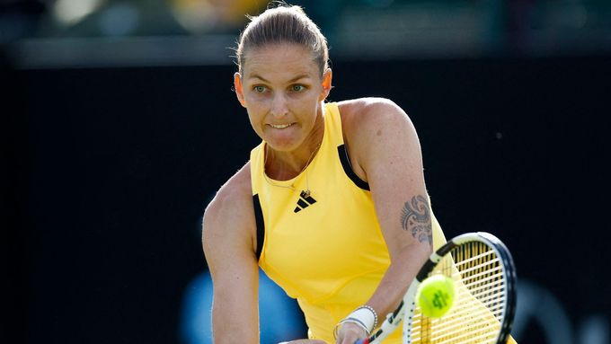 Karolína Plíšková