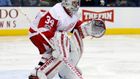 Až příští neděli základní část NHL skončí, bude volný i detroitský brankář Petr Mrázek. "Jsme domluveni, že jakmile skončí sezona, tak přijede. Měl by stihnout určitě České hry v Budějovicích," říká Jandač.