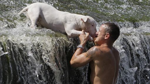Muž se se svým psem koupe na jezu nedaleko Dobřichovic u Prahy.