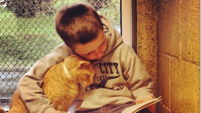FOTO Americké děti se učí číst v útulcích pro kočky