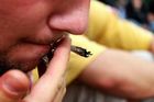 Škola chce testovat sliny dětí na drogy. Úřady nejásají