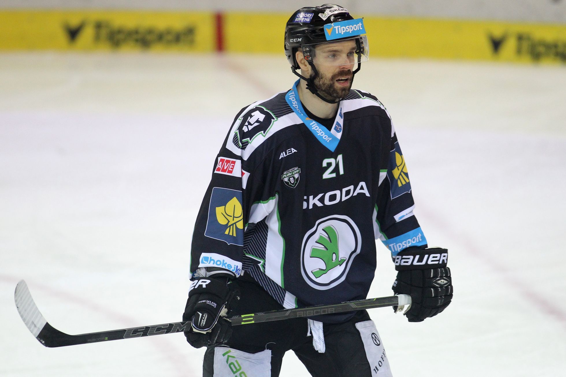 Bílí Tygři Liberec - BK Mladá Boleslav, semifinále extraligy 2016