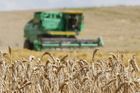 Zemědělci letos sklidí méně obilí, ale více řepky a máku, odhadují statistici