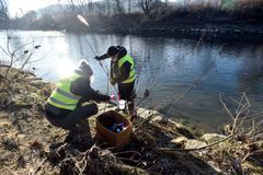 Bečva zřejmě znovu ožije, otravu řeky přežila podle odborníků část ryb většiny druhů