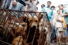 V Číně začal nechvalně proslulý festival psího masa. Ochránci zvířat zuří
