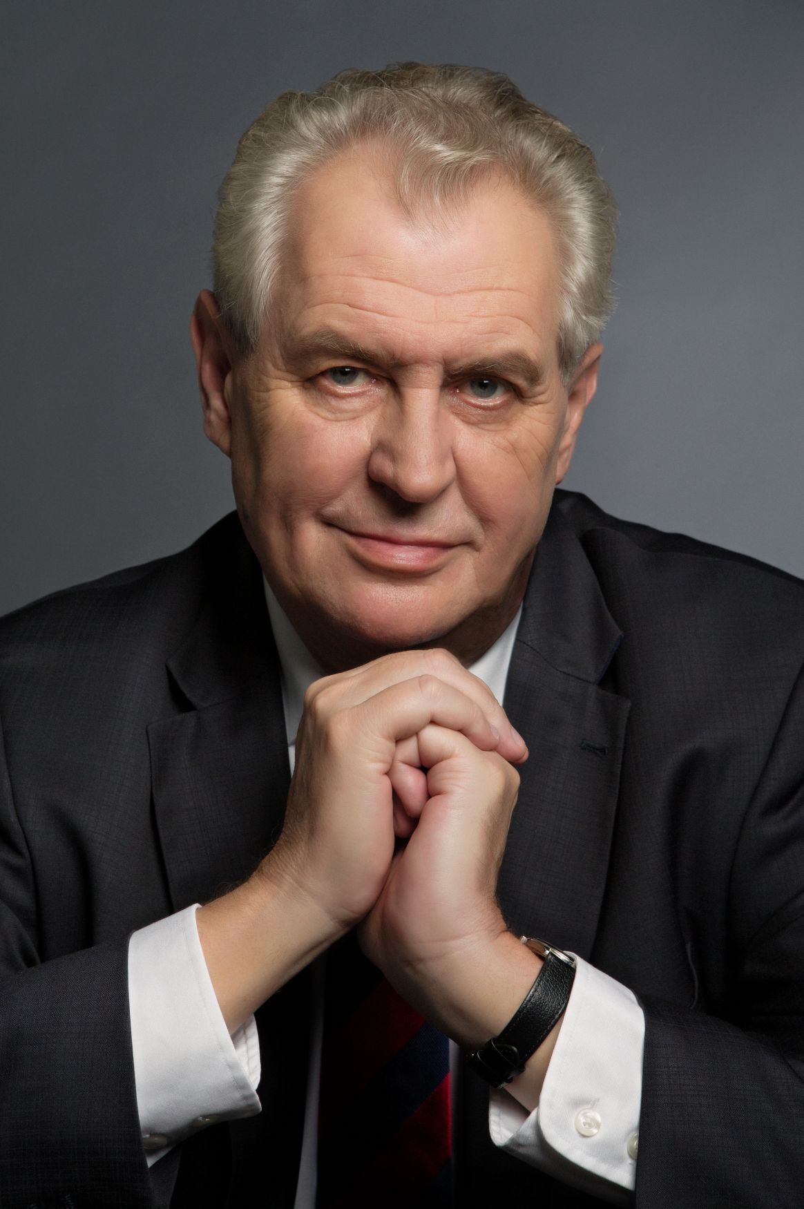 Oficiální portrét prezidenta Miloše Zemana