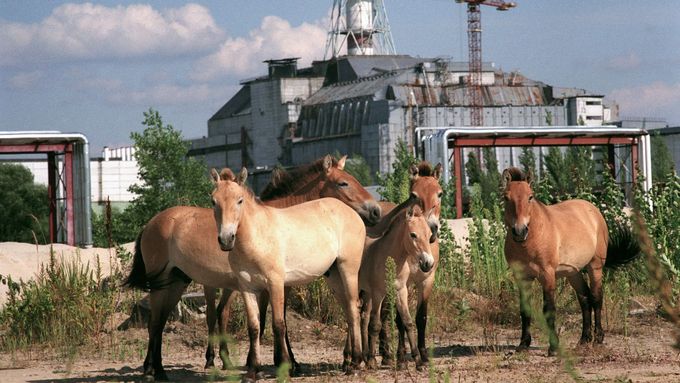 Černobylská jaderná elektrárna.