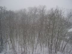 Takto sněžilo kolem poledne v Praze 4-Braníku.