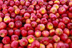 Jablka z Polska obsahovala sedmkrát více pesticidů, než je limit, zjistila inspekce