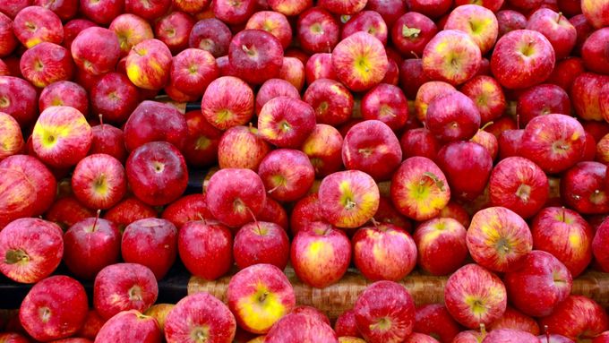 Plocha jabloní, které jsou nejvýznamnějším ovocným druhem, klesla o 21 procent.
