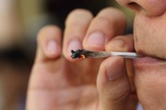 V Kalifornii musí po povolení marihuany přehodnotit 200 tisíc drogových verdiktů