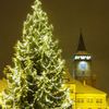 Vánoční stromy - Jičín