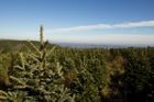 ... stromky!" Pohled na lesní farmu v Severní Karolíně v USA. Na ploše přibližně 12 100 hektarů zde rostou tisíce stromků, které letos "padnou" ve jménu vánočních svátků.