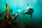 Český fotograf okouzlil svět, vypráví fascinující příběhy divokého oceánu