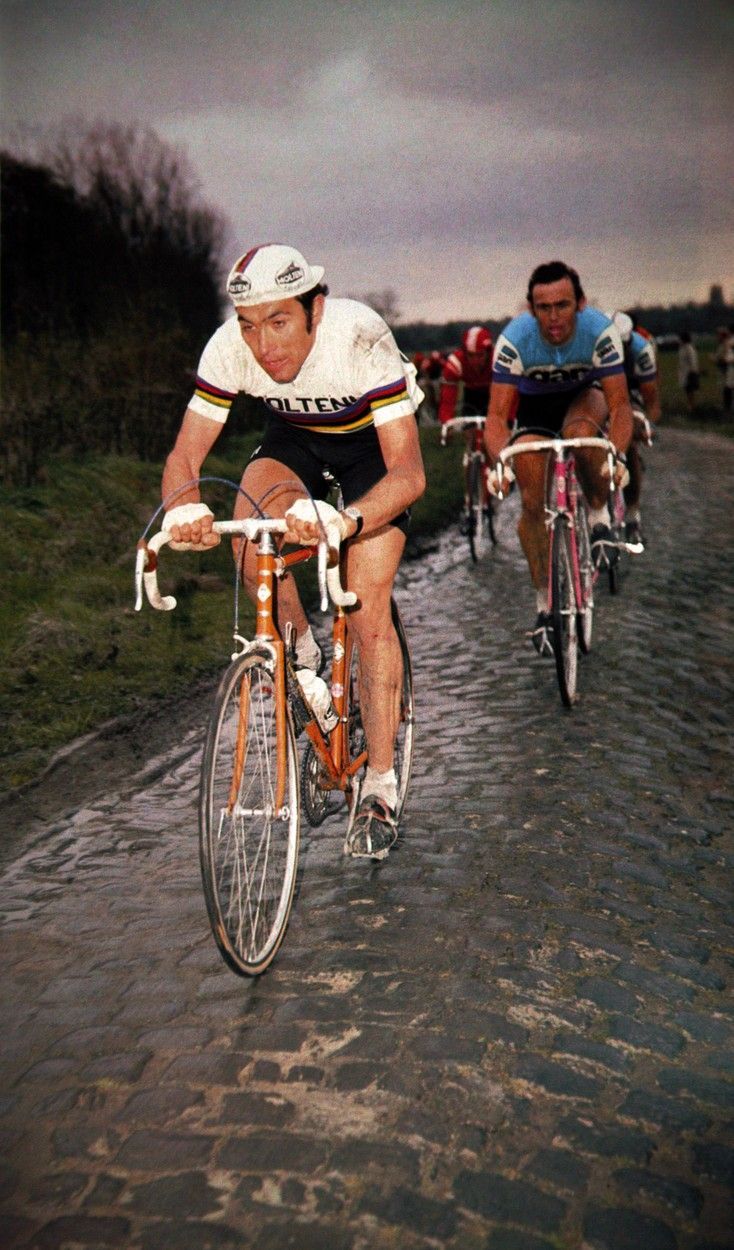 Jednorázové užití / Fotogalerie / Kanibal Merckx / Profimedia