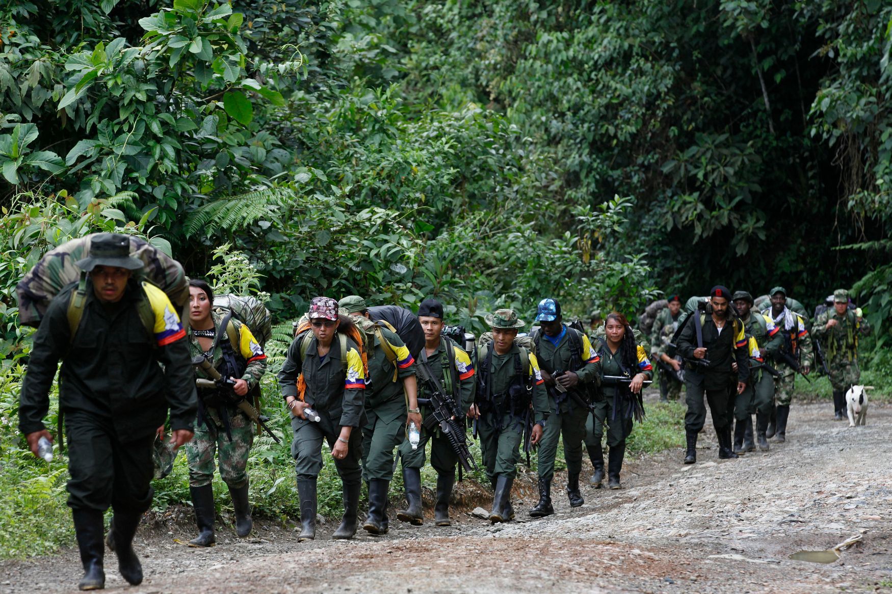 Odzbrojování povstalců z FARC