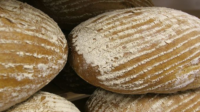 K tomuto chlebu měl ten před 30 tisíci lety dost daleko. Ale chléb to prý byl.