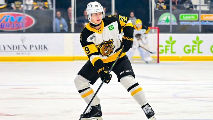 Vladimír Dravecký v dresu juniorského týmu Brantford Bulldogs