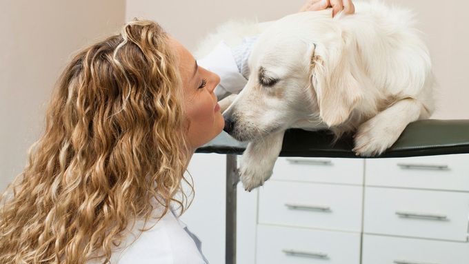 Veterináři jsou i mnohdy psychologové pro majitele zvířat.
