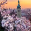 Předčasné jaro v Praze, březen 2024