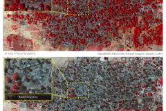 Masakr v Nigérii. Islamisté vymazali z mapy celé město