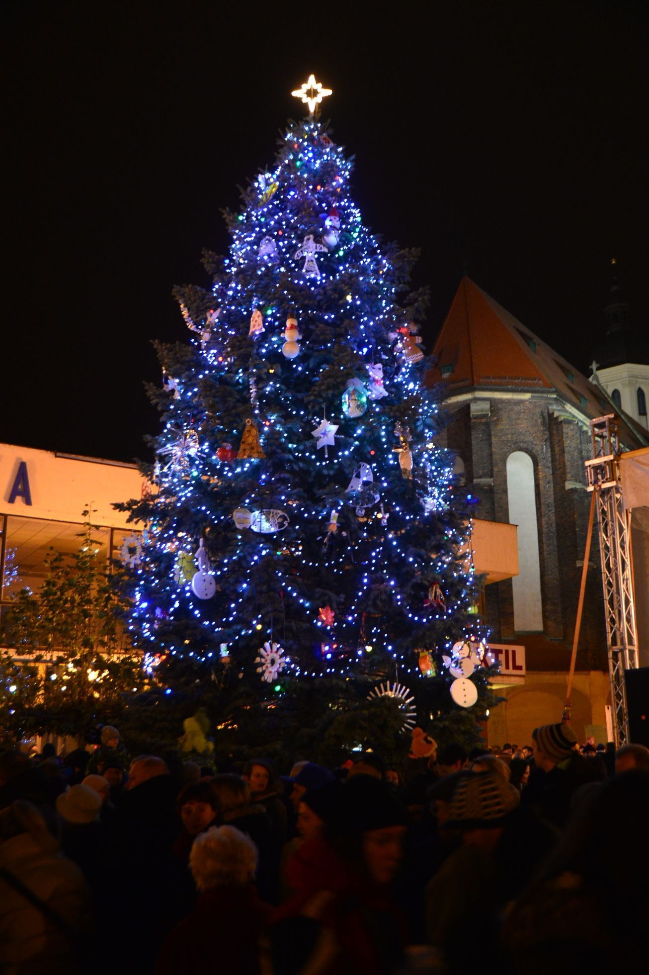 Vánoční stromy českých a moravských měst - Opava
