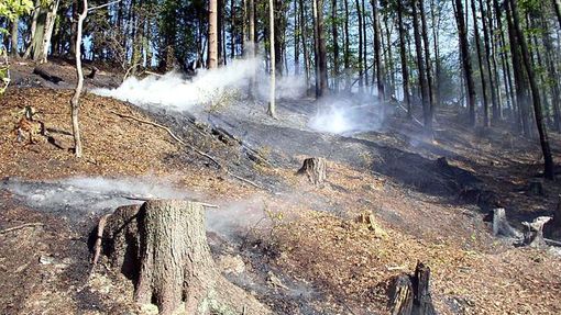 V sobotu 21. dubna odpoledne likvidovaly čtyři jednotky hasičů požár lesního porostu po těžbě a pálení klestí u obce Kunčina Ves. Jednalo se o požár lesní hrabanky na ploše 70 x 70 metrů. Na likvidaci bylo nasazeno sedm vodních proudů. Požár se hasičům podařilo uhasit za dvě hodiny.