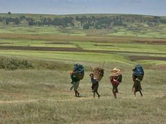 Čtyři pětiny Etiopanů pracují v zemědělství. Megasucha je o zdroj obživy připraví.