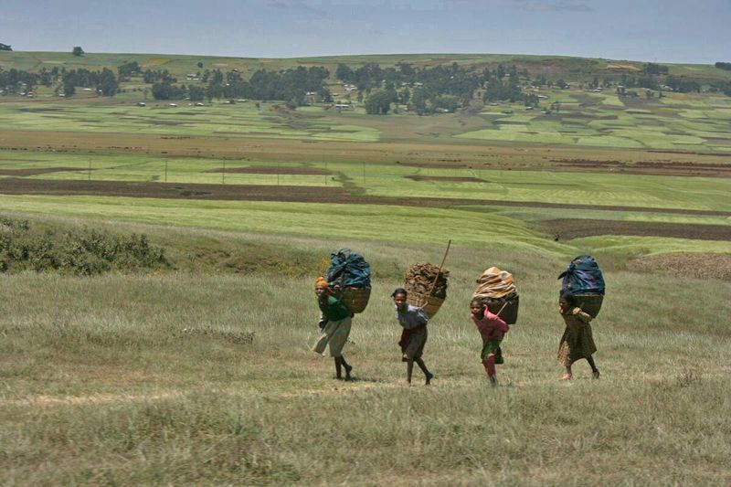 afrika Etiopie zemědělci