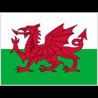 Wales Wales - vlajka - Sport 2016