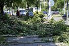 Hradecké lesy zvýšily o dvě třetiny odhad škod po bouři