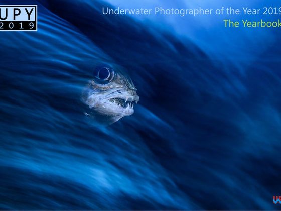 Publikace zdarma ke stažení Nejlepší fotky pořízené pod hladinou - Underwater Photographer of the Year 2019