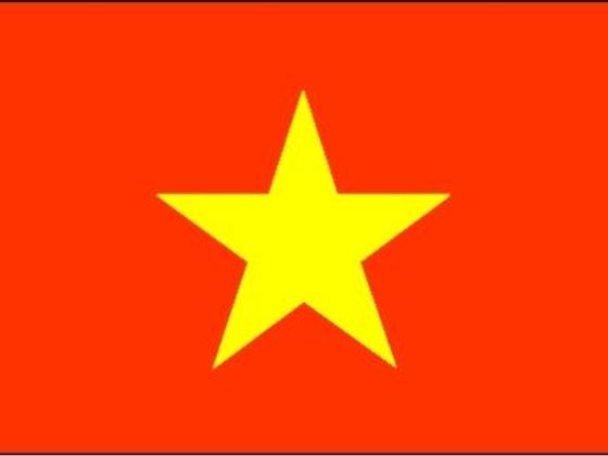 Infobox Vlajka Vietnamu