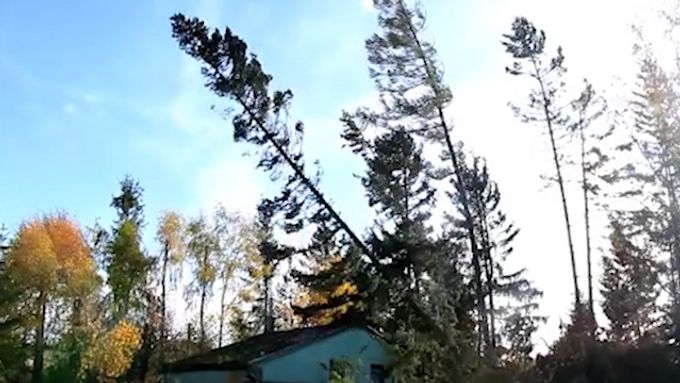 Silná vichřice na Blanensku způsobila pád stromů