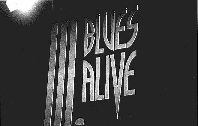 Blues Alive | Foto: Aktuálně.cz