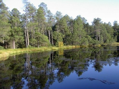 Foto: Aktuálně.cz