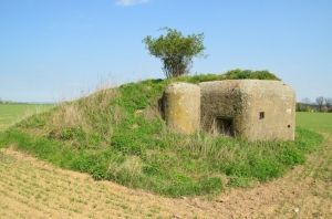 Tento bunkr ve Velkých Heralticích přijde zájemce na 30 000 korun. Nachází se mimo zastavěnou část obce, v zemědělsky obhospodařovaném lánu. | Foto: Ministerstvo obrany ČR