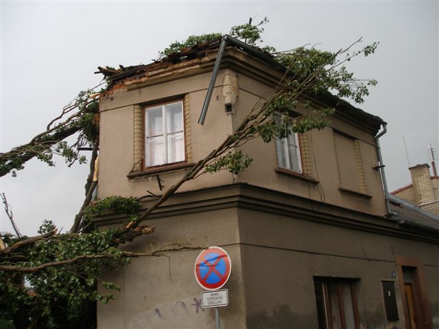 Pád topolu na kočárek s malým dítětem | Foto: HZSHK