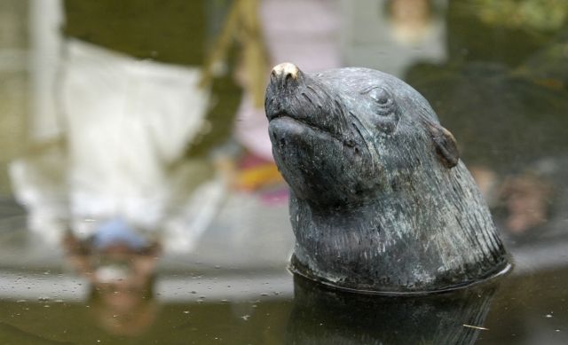 Dalším ze smutných hrdinů srpna 2002 byl lachtan Gaston, kterého ze zoologické zahrady odnesla velká voda. Gaston nakonec doplaval po Vltavě a Labi až do Německa, kde byl chycen. Zde bohužel na následky vyčerpání uhynul. Na památku uhynulého lachtana byla v zoo v listopadu 2002 odhalena jeho socha. | Foto: ČTK