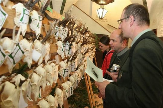 Na radnici opět proběhne tradiční prohlídka trofejí | Foto: Město Jihlava